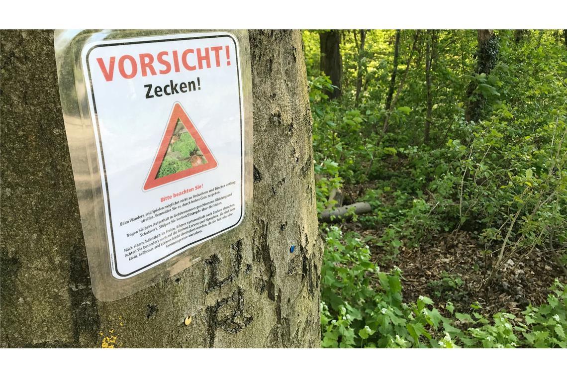 Zecken können unter anderem Lyme-Borrelien und FSME-Viren übertragen. (Archivbild)