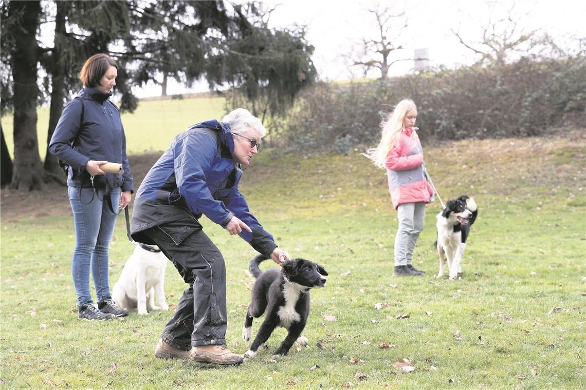 Welpentraining mit Flocke, Zino und Amigo Zino und Dana Schubert (links) warten geduldig, bis sie an der Reihe sind, während Übungsleiterin Doris Lohberger mit Flocke trainiert, auf die Rufe seines Frauchens Birgit Schick zu reagieren.