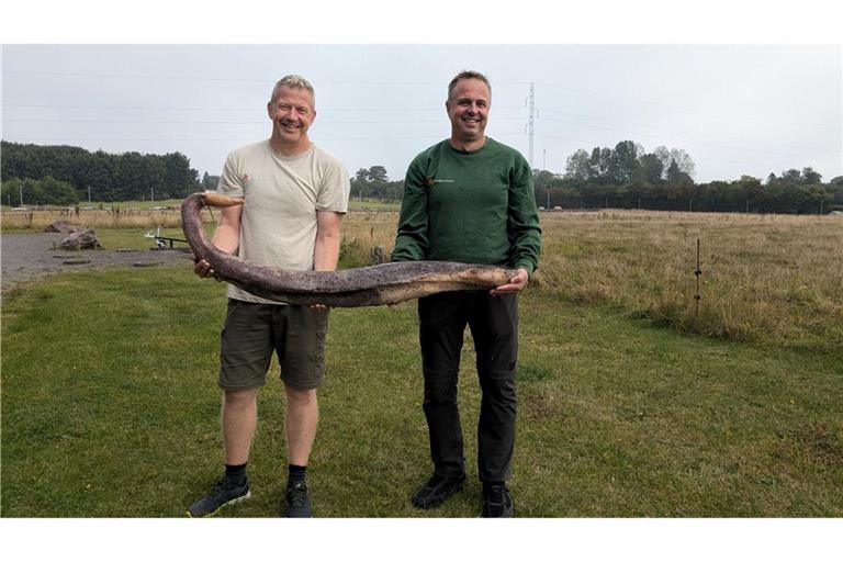 Zwei Bornholmer Naturführer zeigen den seltenen Fund.